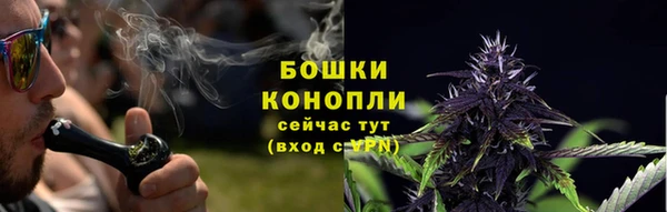 бошки Вяземский