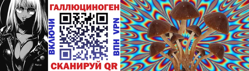 продажа наркотиков  Егорьевск  Галлюциногенные грибы Magic Shrooms 